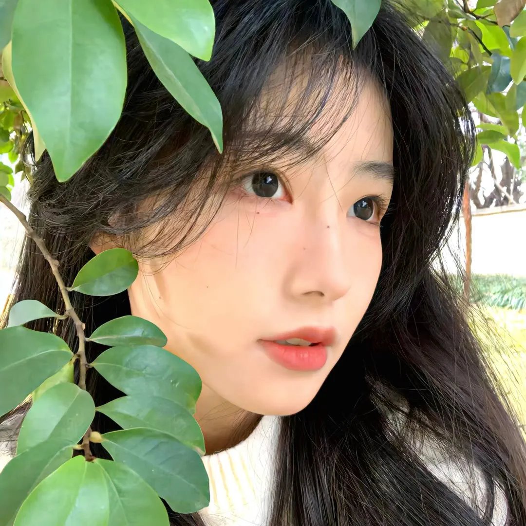 东京白日梦女